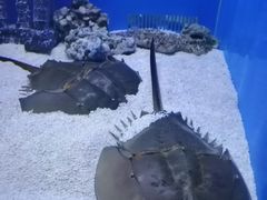 -精粉世家(汉街总部国际A座店)