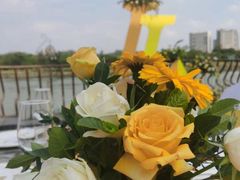 -霏梵印象公园摄影基地