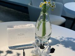 -BLACKSWAN黑天鹅(环球店)