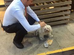 -布吉佳兆业广场