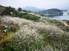 -广州市流溪河国家森林公园