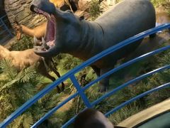 -陕西自然博物馆