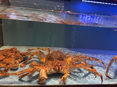 -阿伟海鲜楼·福建菜(延寿店)