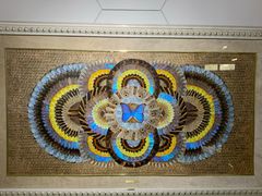 -上海昆虫博物馆