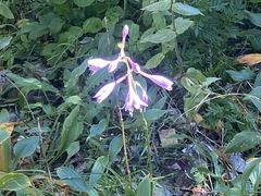 -长春公园(普阳街道)