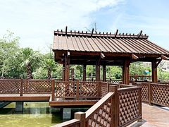 -浦鸿会游泳健身中心·Ambassy Club PD(金桥碧云国际社区店)