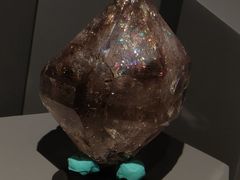 -正佳自然科学博物馆