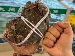 -品鲜村农家菜·阳澄湖大闸蟹(总店)