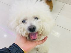 -天宠宠物医院24小时·急重症诊疗中心·全科·腔镜特色(和平分院)