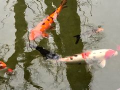-吴作人艺术馆
