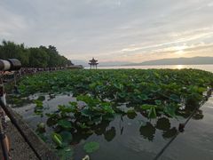 -西湖外事游船(湖滨二公园外事游船码头)