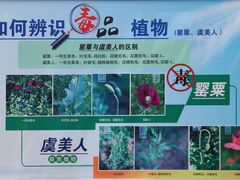 -国家植物园南园