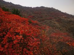 -水峪民俗村