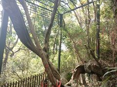 -玉女潭景区