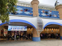 -帝企鹅自助餐厅•儿童岛•真企鹅(长隆企鹅酒店)