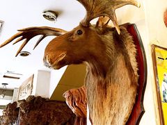 iphone_upload_pic-乔家满族八大碗(流水沟店)