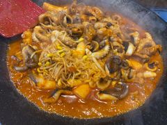 八爪鱼微辣-红辣椒八爪鱼特色韩国料理