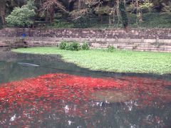 -普陀山风景名胜区-法雨禅寺