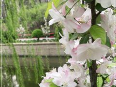 -海棠花溪(元大都城垣遗址公园)