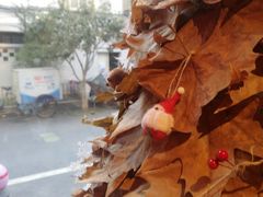 -Punchline Coffee&Roaster(同济大学店)