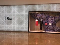 -DIOR迪奥(德基广场女装店)