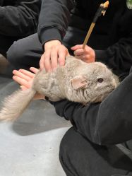 -Zoolung Zoolung动物主题公园(海信广场店)