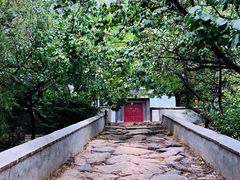 -阳台山自然风景区