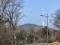 -宝界山林公园