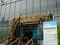 DSCF0402-石老人观光园