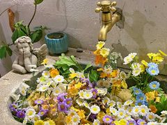 -0907餐厅(核桃园店)