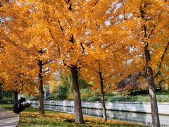 -元大都城垣遗址公园