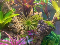 -Rabbit Cafe私房西餐甜点咖啡(栖霞路店)