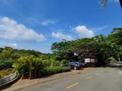 -亚龙湾热带天堂森林公园