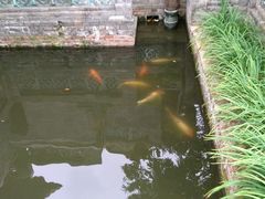 景点-东莞市可园博物馆