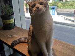 -作咖啡(养育巷店)