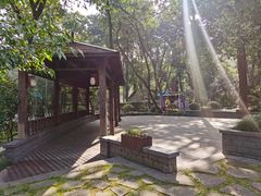 -杭州花家山庄