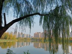 -洋湖国家湿地公园