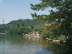-深圳仙湖植物园
