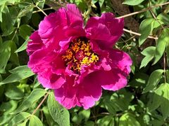 -张掖大佛寺景区