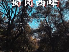 -蜀冈西峰生态公园