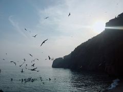 -海驴岛(荣成市)