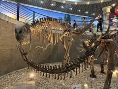 -国家自然博物馆