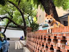 -樹下遇见树·咖啡