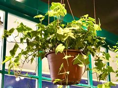 -BOBLOOM花店(宝龙旭辉广场店)
