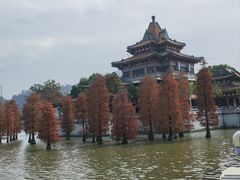 -顺峰山公园