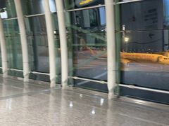 -广州白云国际机场-T2航站楼