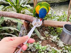 -南宫五洲植物乐园