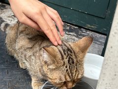 -SeekSeeking咖啡专门店(堰塘街店)