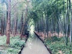-同里国家湿地公园
