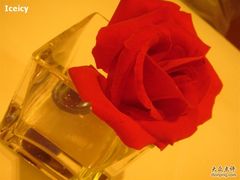 rose-北京金融街丽思卡尔顿酒店·意味轩 Cepe